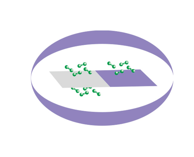 Function barrier coatings